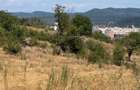 Teren Troianu Ramnicu Valcea - 1