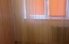 Apartament 3 camere Piata Delfinului - 8
