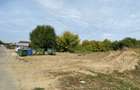 Teren de 3600 mp, în 1 Decembrie - 4