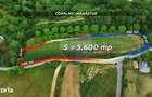 Teren 5600mp | Copalnic-Manastur TOATE UTILITATILE PE PROPRIETATE