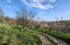 Campina, Baicoi, Scorteni - 5