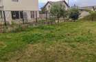 Comuna Berceni - Teren intravilan, imprejmuit, gaz la poarta - 4