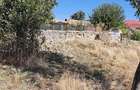 Vanzare teren intravila 2750 mp + constructie, Ceamurlia de jos, Str. Crizantemei nr. 5 - 1