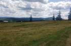 Vand 16 hectare de pasune