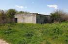 Inchiriere teren 30,000mp si hale in conservare Singureni Giurgiu - 5