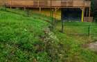 Casă cu Teren 2000 Mp în Sohodol - 3