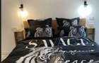 Apartament 2 camere Viilor - Parc Carol - Monetaria Statului - 4