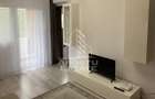 Apartament 1 camera Micalaca - 2