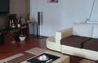 Casa individuala P+2 cu teren 800 mp, garaj, atelier si foisor - 4
