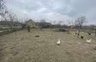 Casa de vanzare la drumul national, 2 pozitii, 2 CF-uri - 5