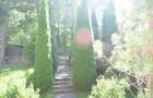 Vila de vacanta situata in Predeal-Cioplea - 2