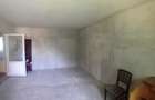 Casa Moreni 270 mp jud. Neamt - 10