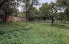 Teren 1.000 mp cu TOATE UTILITATILE - 5