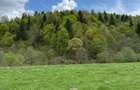 Teren de vanzare Zarnesti Brasov Piatra craiului