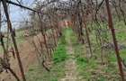 RECO Casa de vanzare in Inand - 2