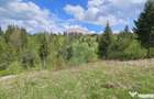 Teren 4048mp Campulung Moldovenesc, Strada Izvorul Alb, S... - 10