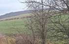 Teren cota parte 1/12 Deleni, ID: R2662164 - 1