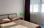 Apartament de inchiriat 2 camere Sibiu Strand - 5