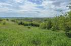Apartament 2 dormitoare Borhanci/parcare - 1