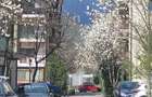 Proptiertar.Apart. modern in zona minunata - 2