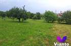 Teren intravilat| Zona rezidentila 1156 mp-TURNISOR - 2