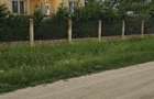 Casa comuna Izvoare, jud Dolj sau pachet casa plus 15 ha teren arabil - 2