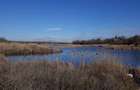 Teren la lac Caciulati Balta palatului - 8