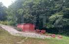 Cabana din busteni - refugiu ideal in mijlocul naturii