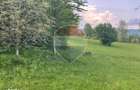 Teren intravilan MARA-doua hectare