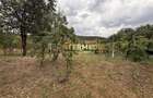 Casa Renovabila 3 camere Baie Bucatarie CRICAU 1375 mp Teren Toate Uti - 5