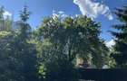 Teren intravilan, 400 mp, Bușteni Cartier Zamora – Panoramă spre Bucegi - 10