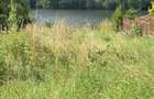 Teren 700 m2 cu iesire la lac AUTORIZAT cabana/ pensiune 8-12 camere Somesu Cald Tarnita - 6