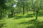 Teren de vanzare, Prahova, Comarnic, str. Podu Lung nr. 69, 1000mp - 3