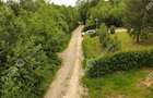 Teren intravilan 3000 mp in Porumbacu de Sus din Sibiu - 7