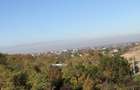 Vand teren intravilan 4000 mp in rontau