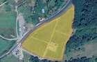 Plantatie Afini - Teren-27.211mp+ Constructii-370 mp,Lapugiu de Jos - 2
