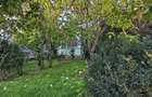 ULTRACENTRAL - teren 514 mp, 2 deschideri - 290000 euro - Ploiesti (Prahova) - 6