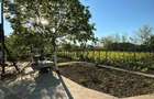 Direct proprietar: Casa demolabila + teren 1167 mp - 8