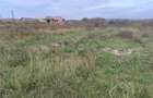 RECO Teren intravilan, Osorhei - 4