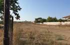 Techirghiol intravilan 534mp - constructie/investitie - 4
