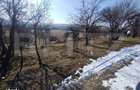 Teren extravilan de vanzare, 25 ari, zona Rusul Bargaului - 5