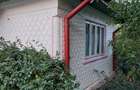 Teren intravilan 8.759 mp cu casa + vie | Utilita?i complete