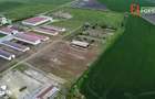 Teren intravilan cu suprafata de 58.340 mp, in Sanmartinul Sarbesc - 15