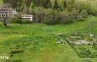 Intravilan | 10.000 mp| Satic-Rucar | Acces facil | Poten?ial excelent - 4