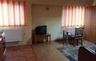 Inchiriez apartament / 1 Camera / Marasti Central / - 7