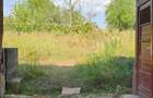 Vand casa la tara cu teren Satul Cosdeni, judetul Bihor - 4