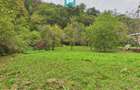 Teren de 1000mp in Lipova pentru o casa de vacan?a - 3