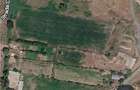 Teren intravilan 10500 m2 - 4