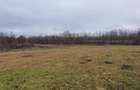 Teren deosebit 11.000 MP + LIVADA DE NUCI | Parscov Magura, BUZAU | Ideal pensiune / glamping - 3