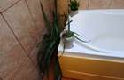Apartament 2 camere Snagov - 13